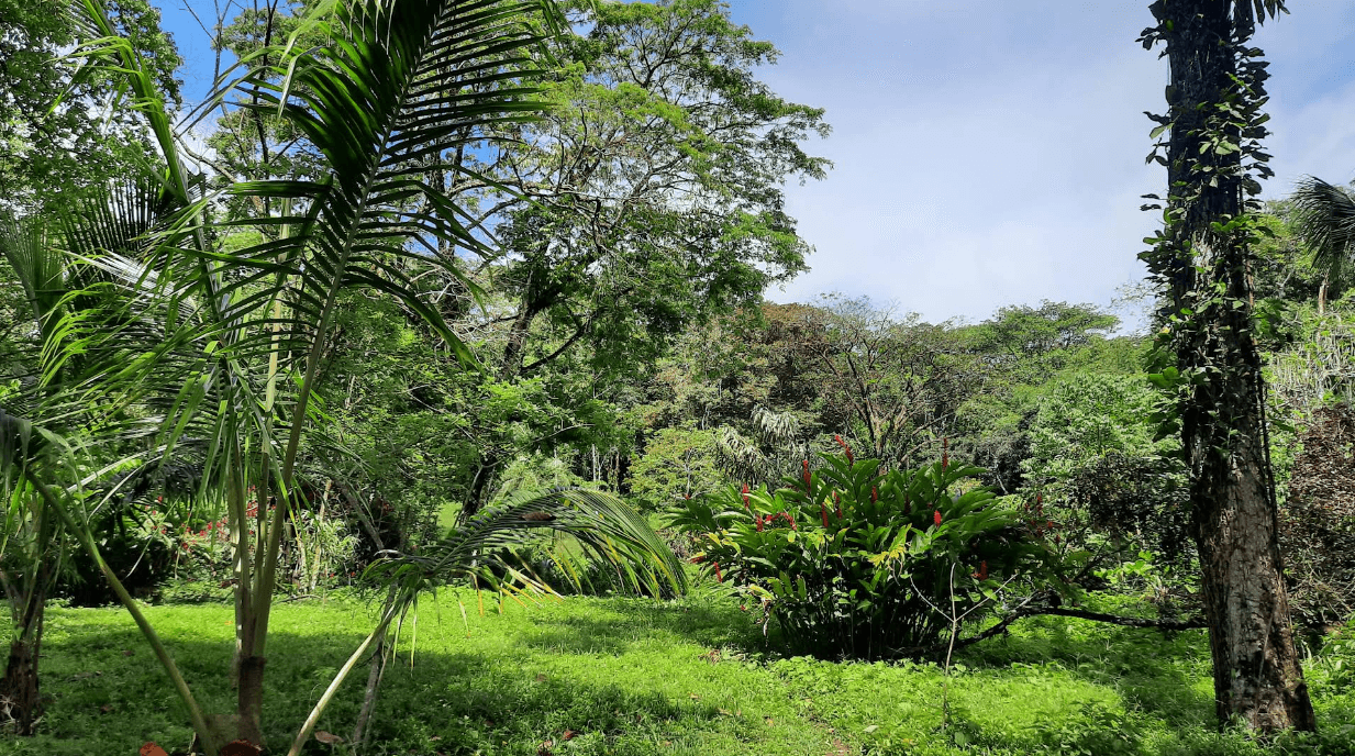 Vista de Playa Bluff en Bocas del Toro, Isla Colón, Panamá