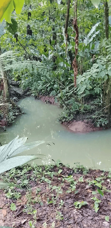 Playa virgen en Bocas del Toro, Panamá